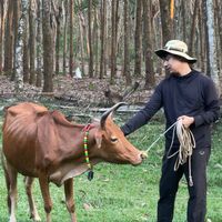 navamin.farm