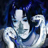 zy.ssk