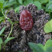 nhạc nền - Healing Musics🎼🌏