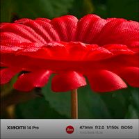 âm thanh gốc - Tạp hoá Leica