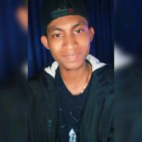 aselmalv1