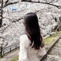 mapleplpl2