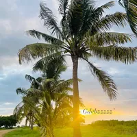 original sound - uszer_oleur