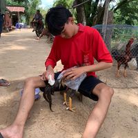 user1496516706168
