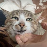 nhạc nền - Đặc gì cũng căng