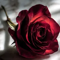 original sound - mary241307