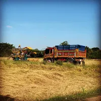 original sound - toktak5233