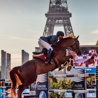 equestrian.fotos1