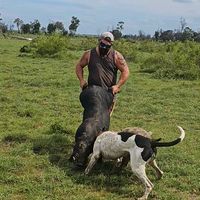 bigsow8969