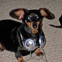 thesongoftodayissss2