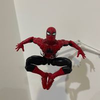 spider_figura1