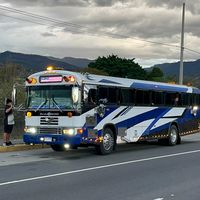 solo_buses_catrachos