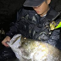 nfl_no_limit_fishing