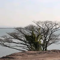 รําลึกหาบูชาครู