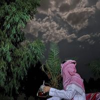 الصوت الأصلي