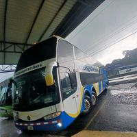 busologiagn_529
