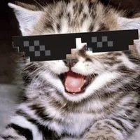 original sound - me0wwmp3