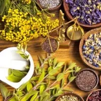 original sound - saglikbilgisi