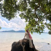 suara asli - nanaboruhasibuan