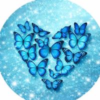butterflygirlxida