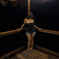 merinips04