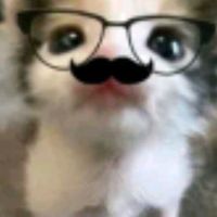 o_cheirinho