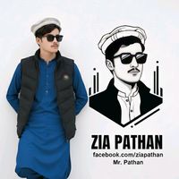 mr.zp.1