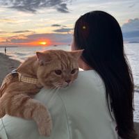 original sound - Bam Bie