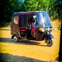 الصوت الأصلي