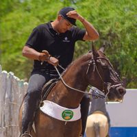 christianosilvino712