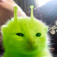 mar_zix