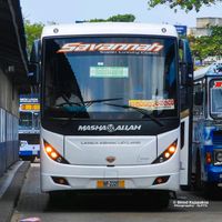 savannah_travels0