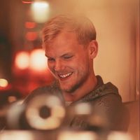 tim_avicii_fans