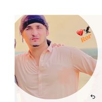 shabirshah019