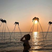 nhạc nền - Cua Tiểu Yêu