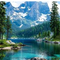 mustafa_zk63
