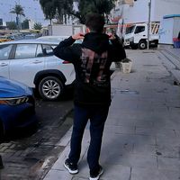 الصوت الأصلي