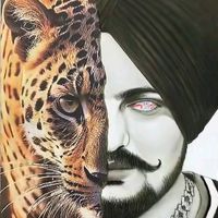onlysidhu29