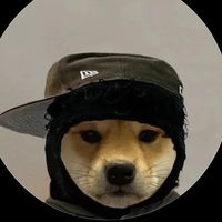 safarise2