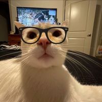 nhạc nền - 🎁❤️‍🩹