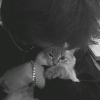 走着走着就散了