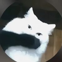 original sound - Yoongi mittens