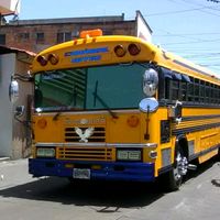 busesdehnoficial