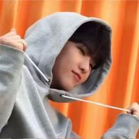 carat_828