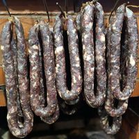 yuli_vecher_prokopovich