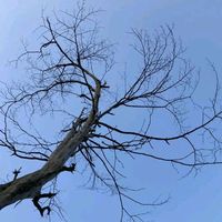 Karl Wine x Sushant KC x Yabesh Thapa Oh Na Na