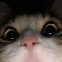 suara asli - Bimzzz2??