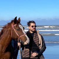 الصوت الأصلي