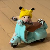 yyds_11_77