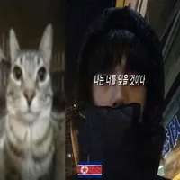 original sound - nuliiiq